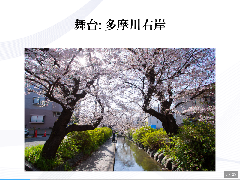 二ヶ領用水と久地円筒分水の歴史のサムネイル（5ページ目）
